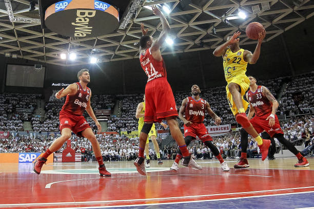 灰熊队的元 灰熊队的元