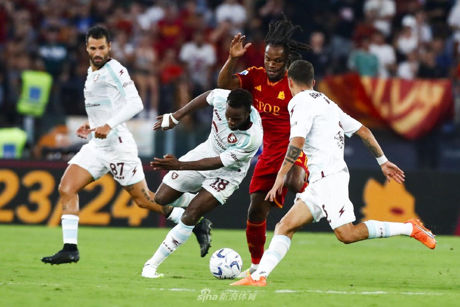 活力与竞争 活力与竞争