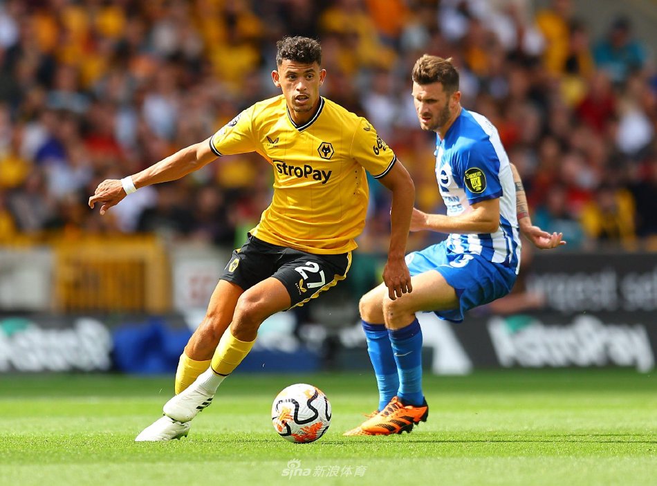 内线抛投交 内线抛投交